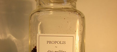 Propolis